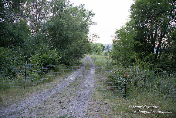 LCG & GWG Tree Farm