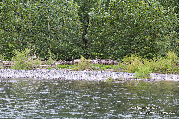 Ranch 21 at River