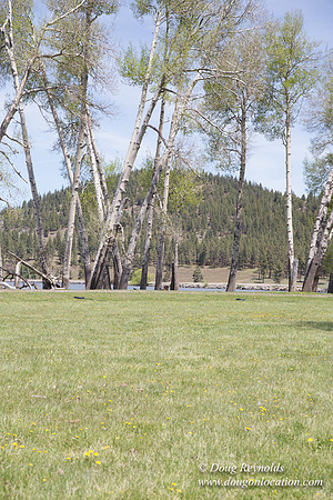 Ranch 18