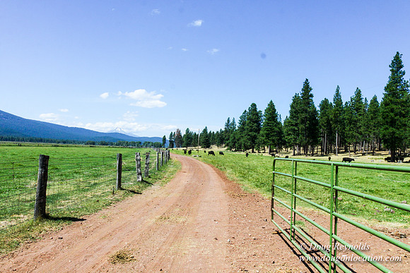 Ranch 18