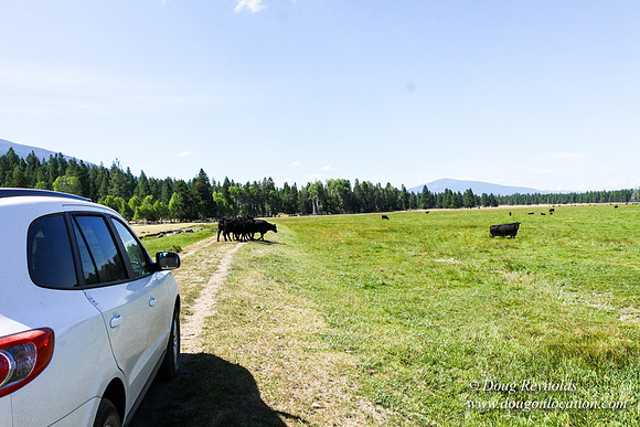 Ranch 18