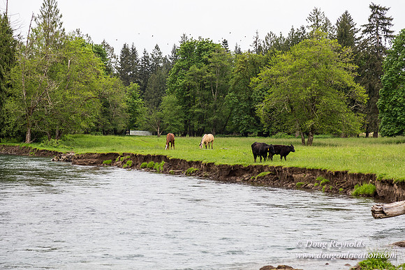 Ranch 21 at River