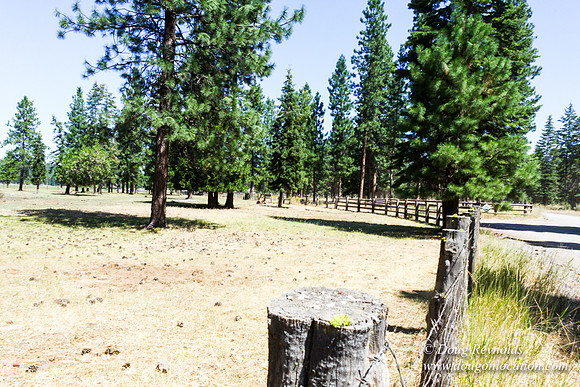 Ranch 18