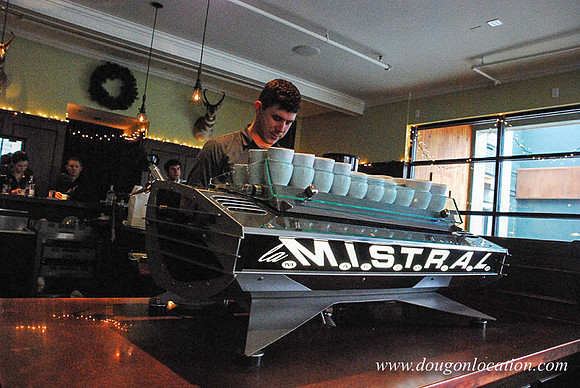 Barista on Alberta