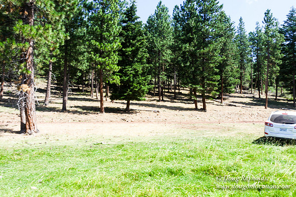 Ranch 18