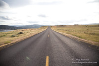 Dallesport Rd-1387