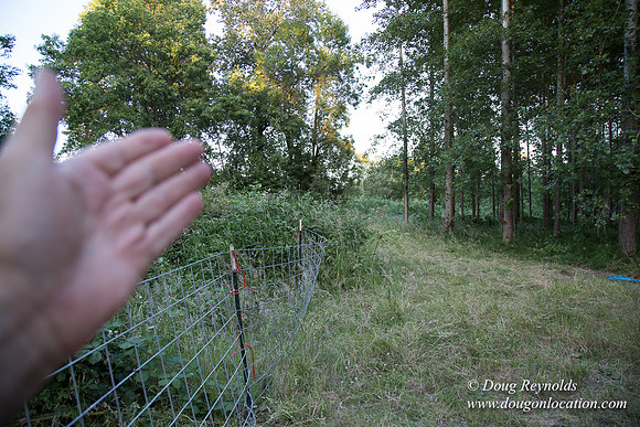 LCG & GWG Tree Farm