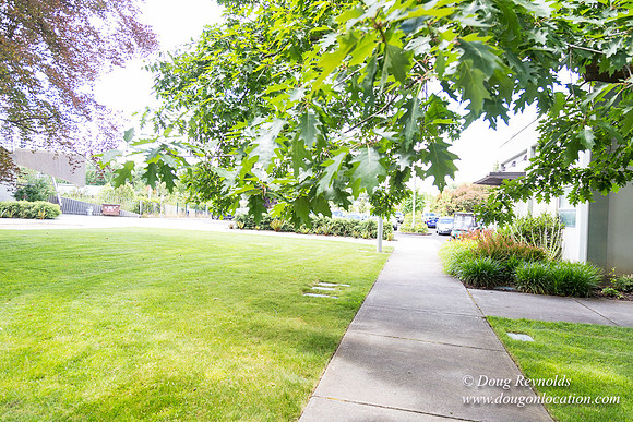 Columbia Blvd WW