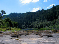 Ranch 6