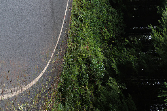 Hwy 53-0447