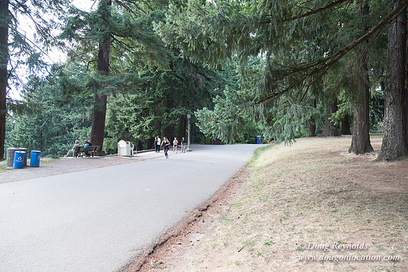 Mt Tabor Top- View 3 West