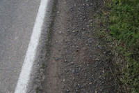 Morres Valley Rd-1666