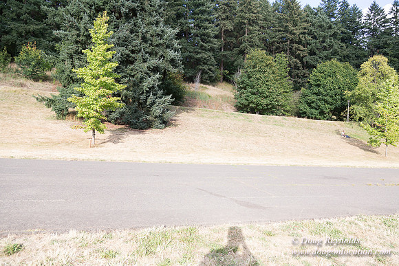 Mt Tabor- View 5 SBT West