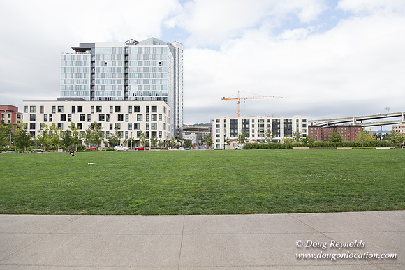 The Fields Park