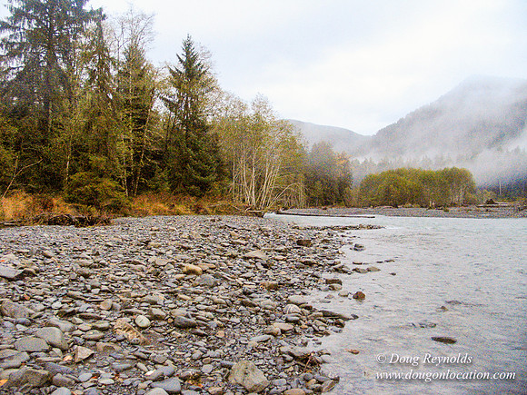 WA River 6