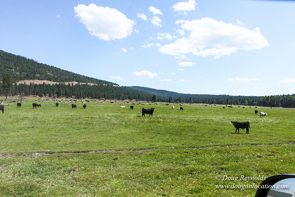 Ranch 18