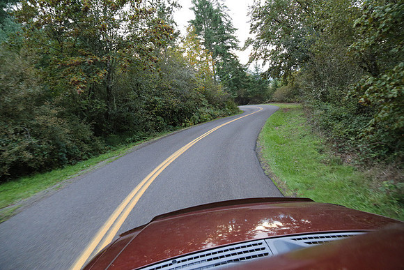 Woodland Ln-1764