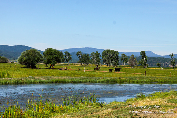 Ranch 18