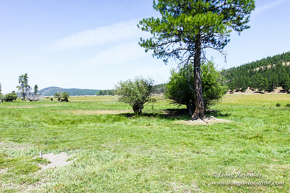Ranch 18