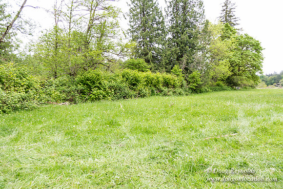 Ranch 21 at River