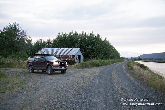 LCG & GWG Tree Farm