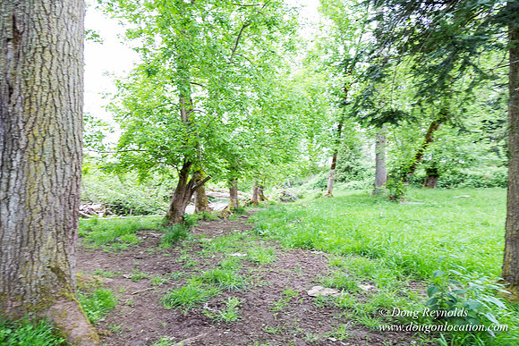 Ranch 21 at River