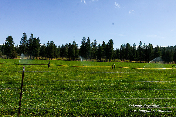 Ranch 18