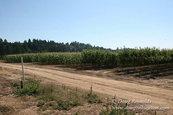 Farm 4 has Barns Shops they grow Wheat and Corn.  in the Portland Zone