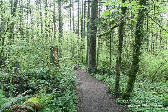 Tryon State Park