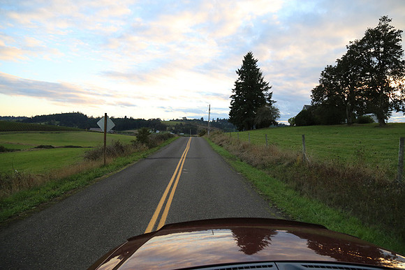 Woodland Ln-1781