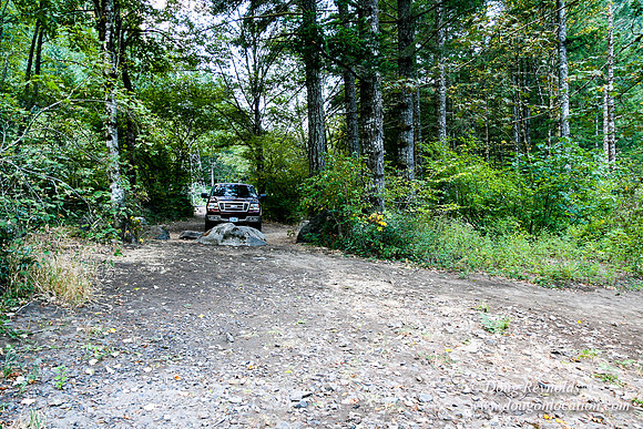 Rover R11