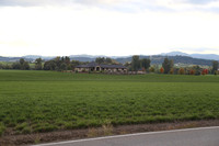 Morres Valley Rd-1676