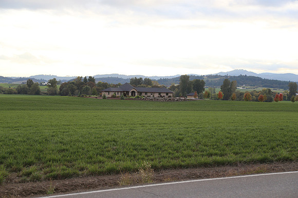 Morres Valley Rd-1676