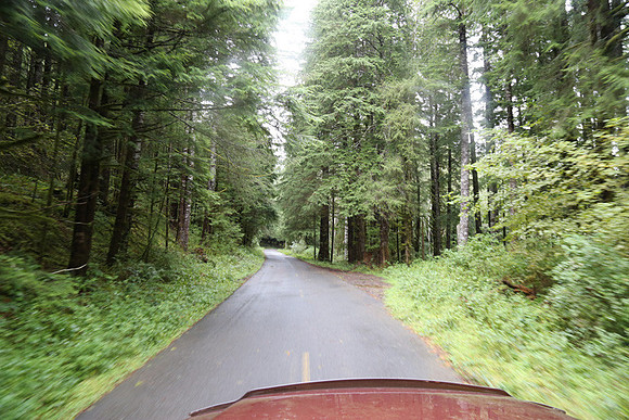 Saddle Mt Rd-0344