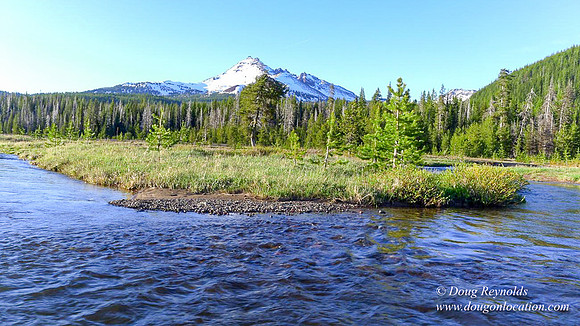 Sparks Creek