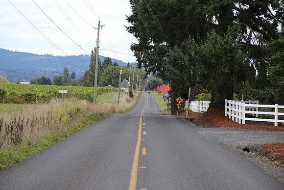 Dilly Rd-1541