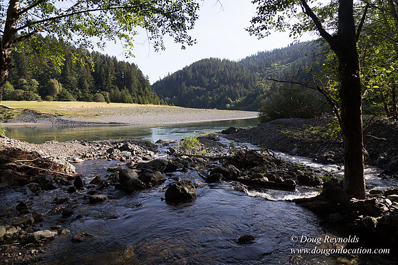 River 36 Running Wild
