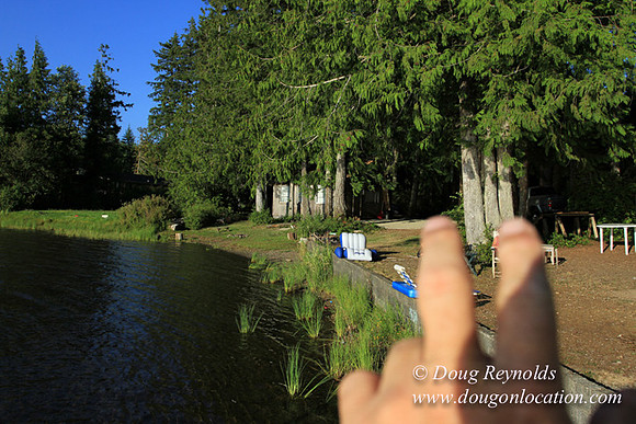 Boat, Cabin, Dock, Home, "House lake", WA, Washington, Yard, deck, "green. Beach" Vacation