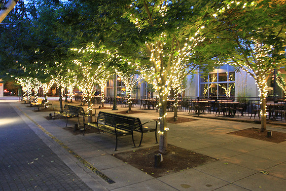 Jamason Park-6550