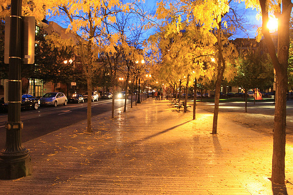 Jamason Park-6563