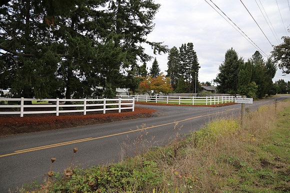 Dilly Rd-1548