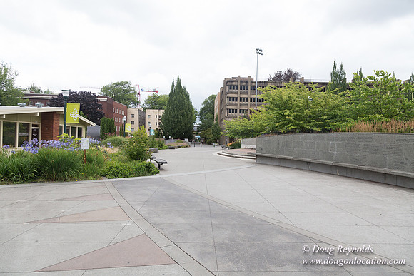 Portland Streets