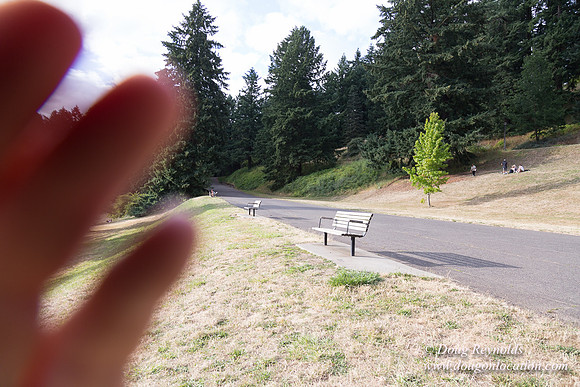 Mt Tabor- View 5 SBT West