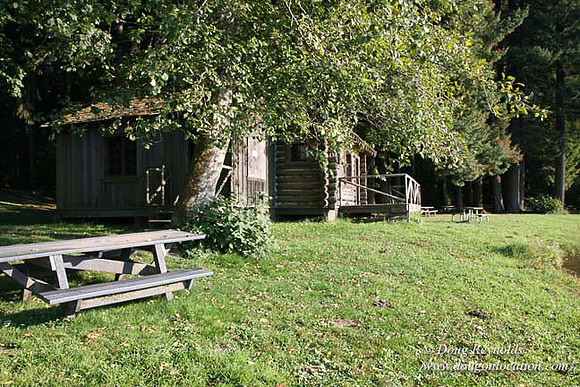 Roslyn Cabin