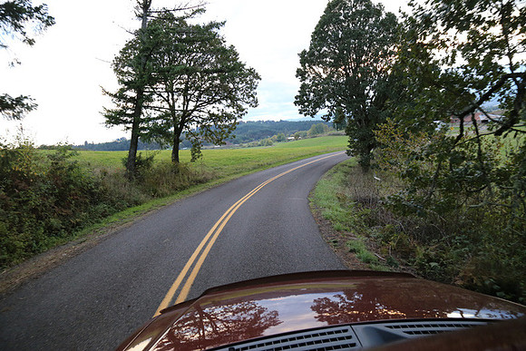 Woodland Ln-1774