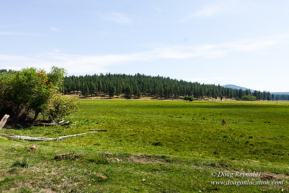 Ranch 18