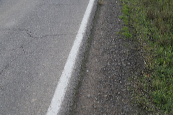 Morres Valley Rd-1669