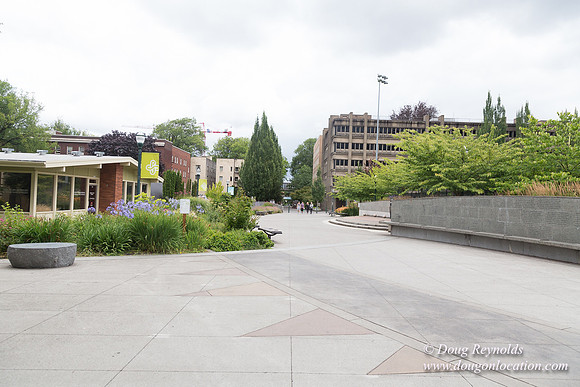 Portland Streets