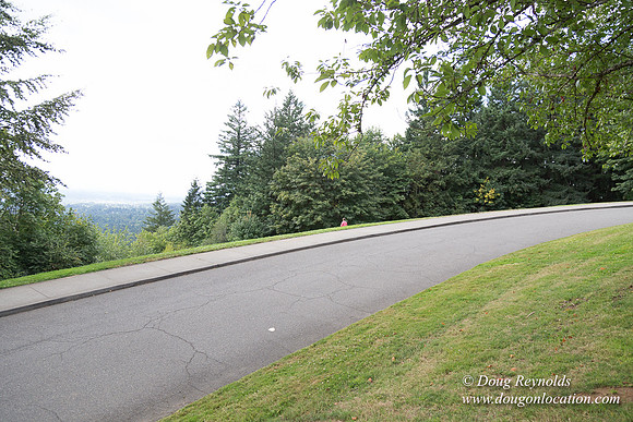 Council Crest Park View