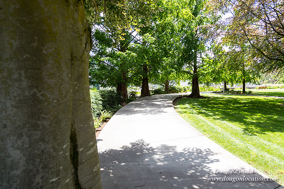 Columbia Blvd WW